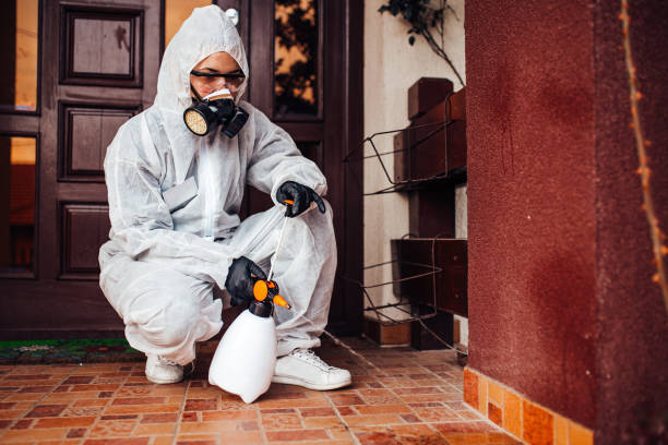 Attic and Crawl Space Rodent Treatment in Cliffwood Beach