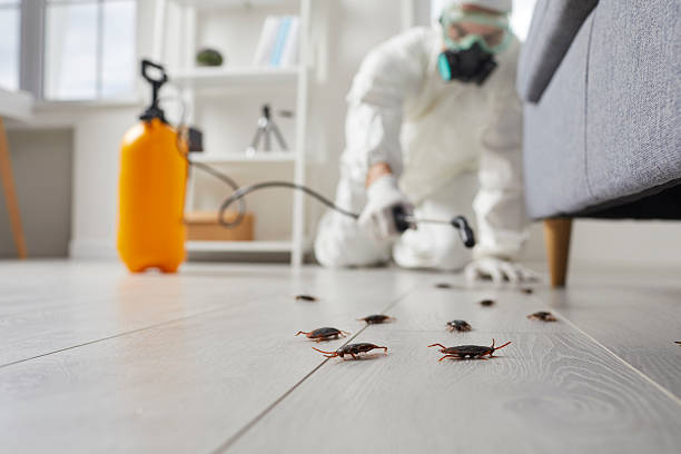 Commercial Rodent Management in Cliffwood Beach
